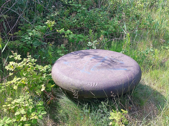 Banter See-威廉港必去景点