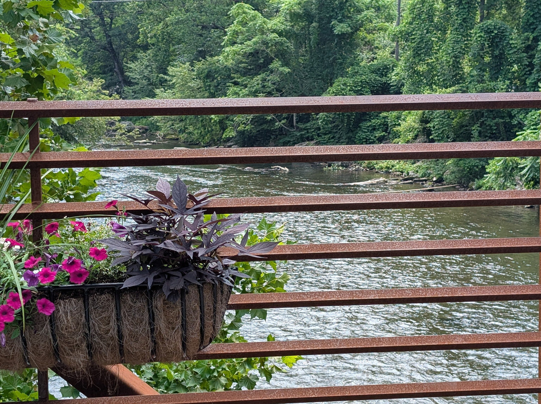 The What's Hot Shop-切罗基必去景点