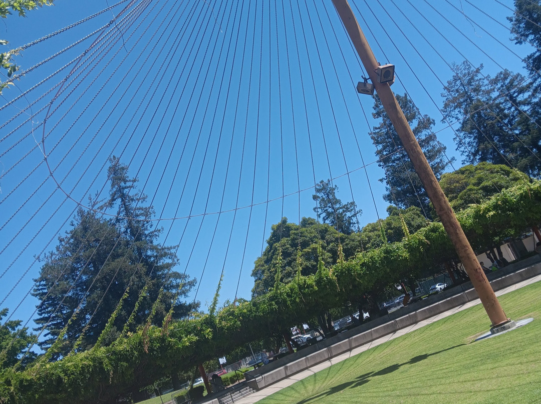 Central Park-圣克拉拉必去景点