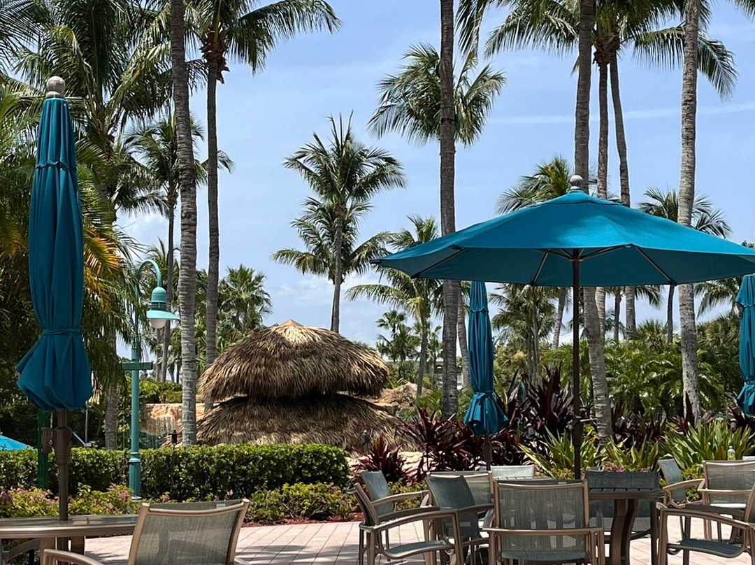 椰子园凯悦酒店主图