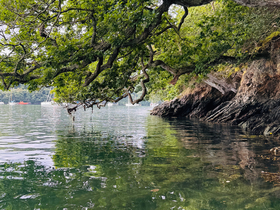 Koru Kayaking-St Agnes必去景点