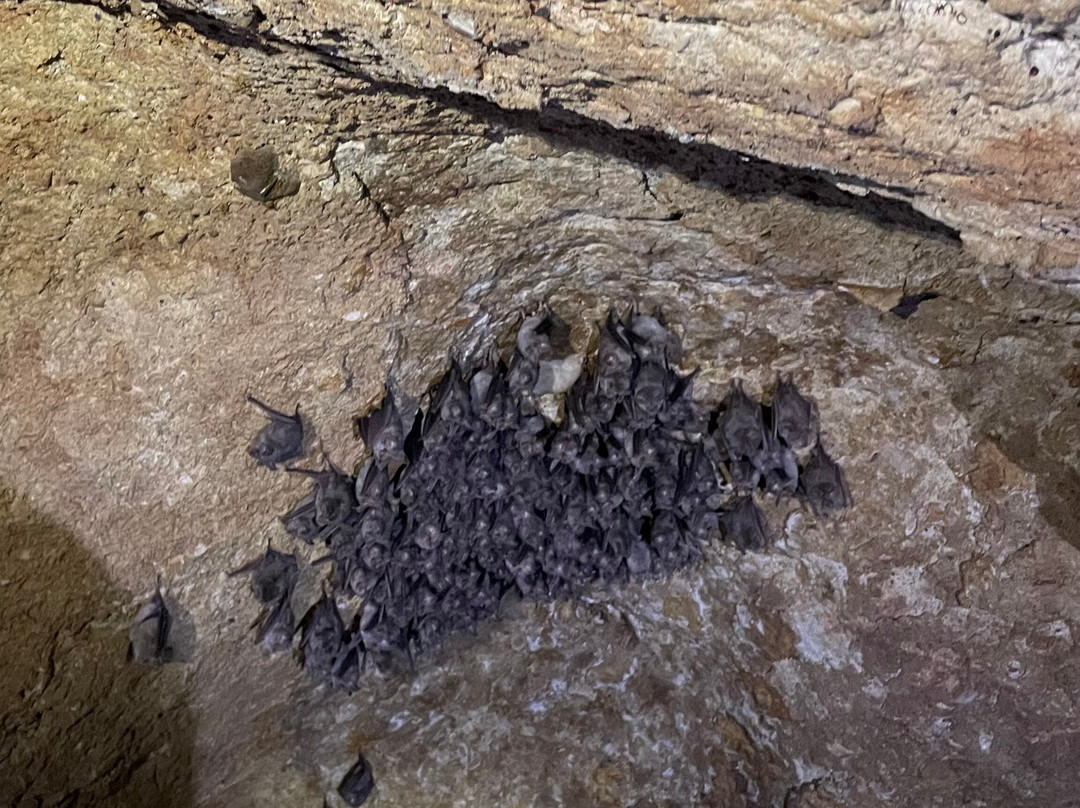 Munsterland Guest Farm