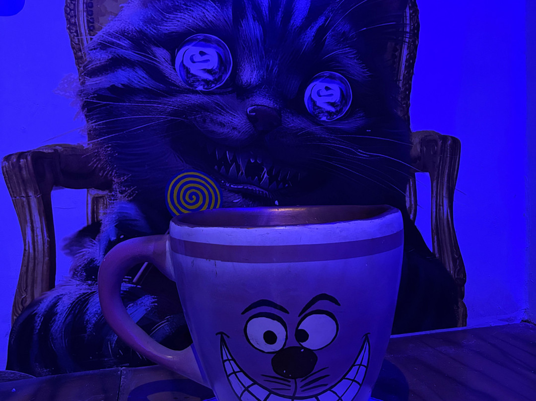 Escape Room Club-圣保罗必去景点