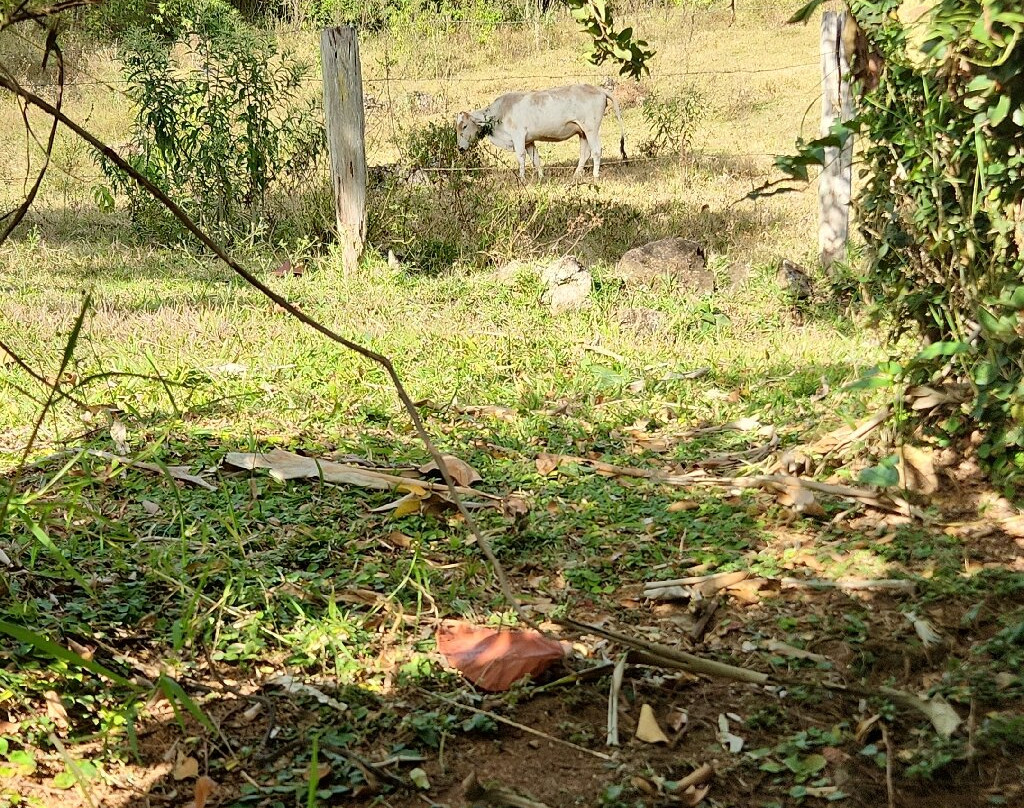 Pousada Cabanas no Mundo主图