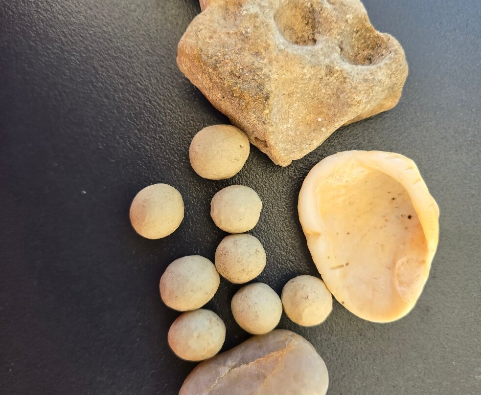 Black Creek Provincial Park-Stokes Bay必去景点