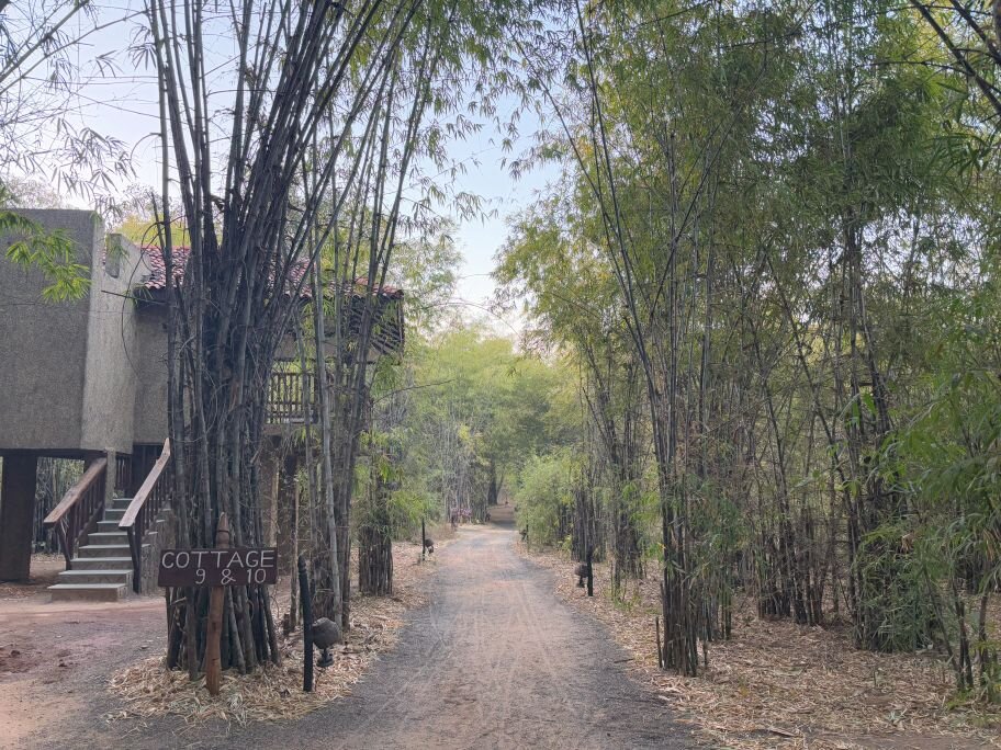Pugdundee Safaris - Kings Lodge-浴室