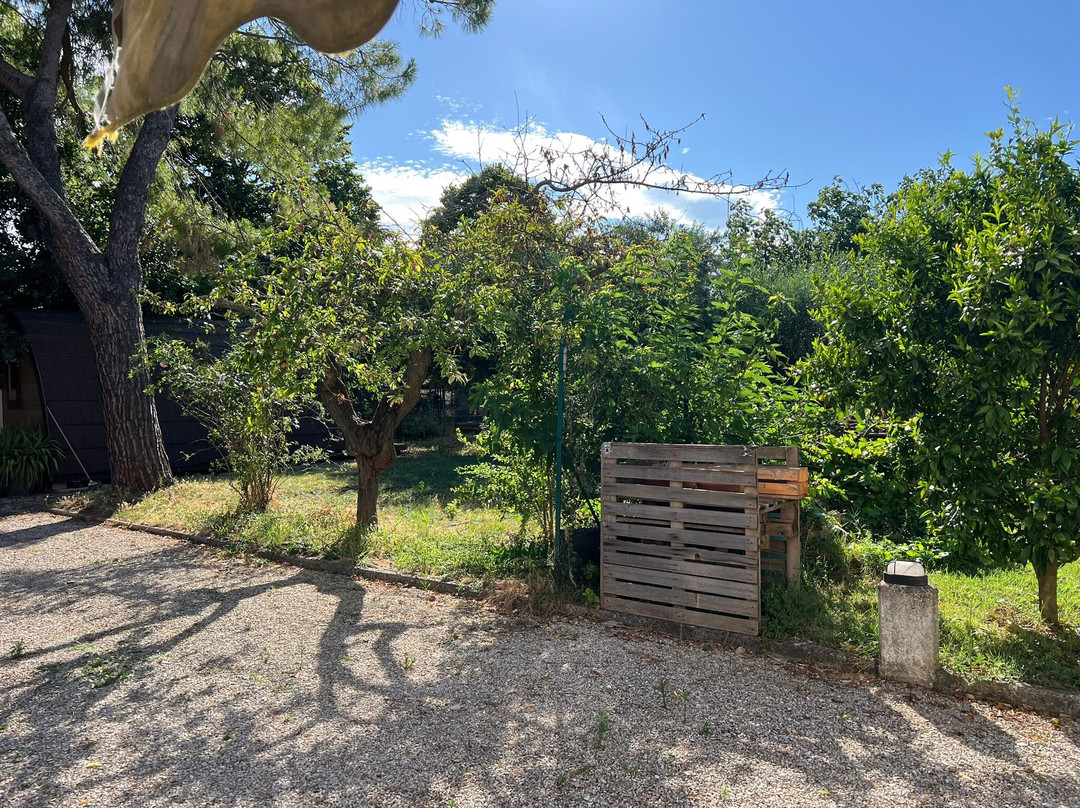 B & B Sotto le Stelle主图