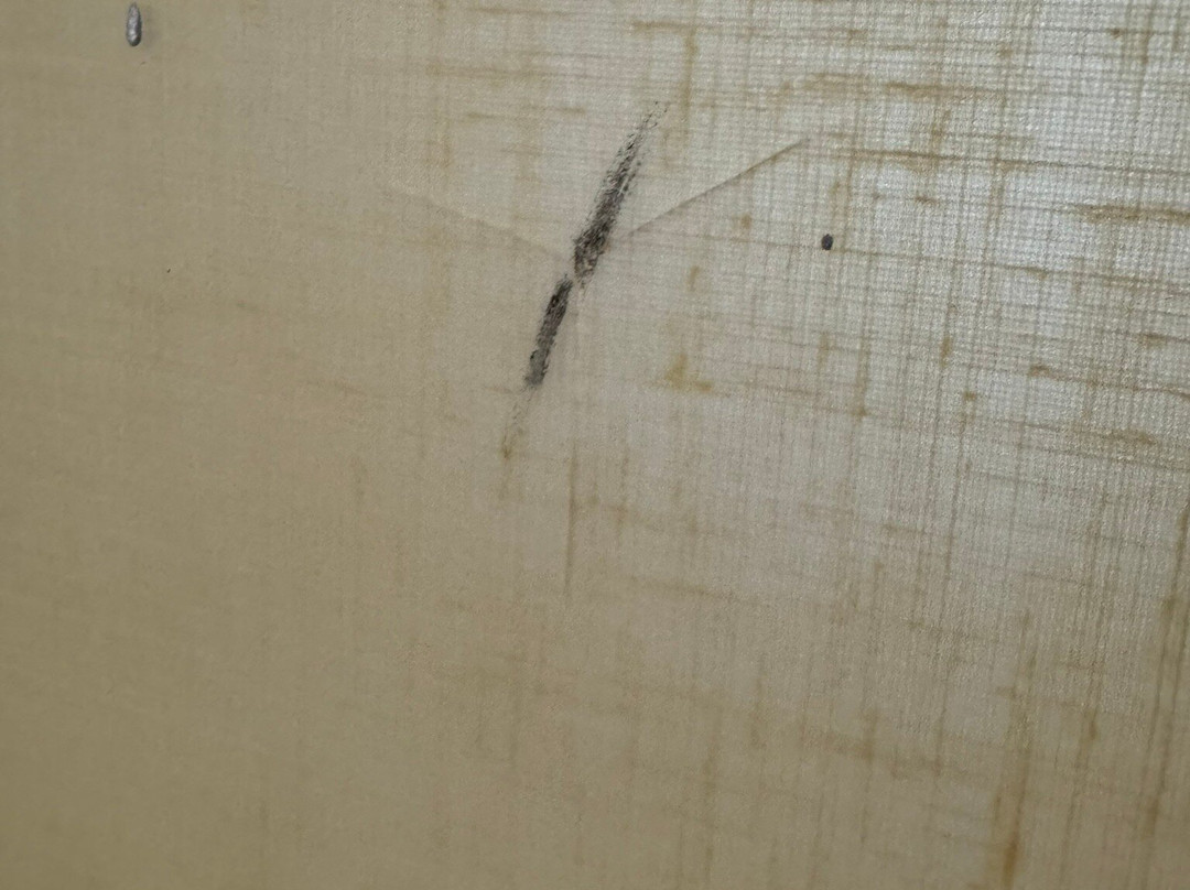 Hyatt Place Garden City主图