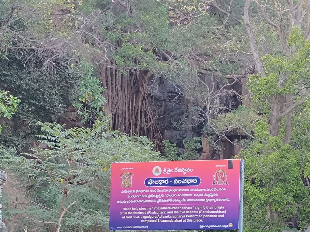 Phaladhara Panchadhara-Srisailam必去景点