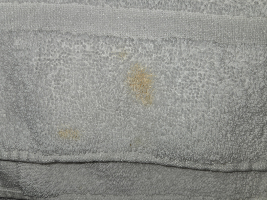 Heart Of Manteo Motor Lodge