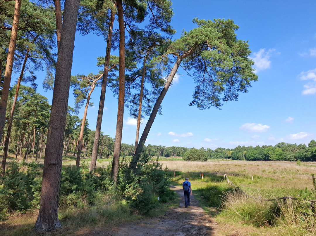 Moorerlebnisweg-韦瑟尔必去景点