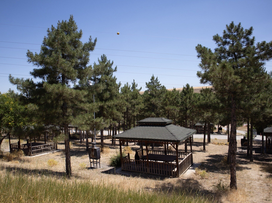 Cip Barajı Mesire Alanı-Elazig必去景点