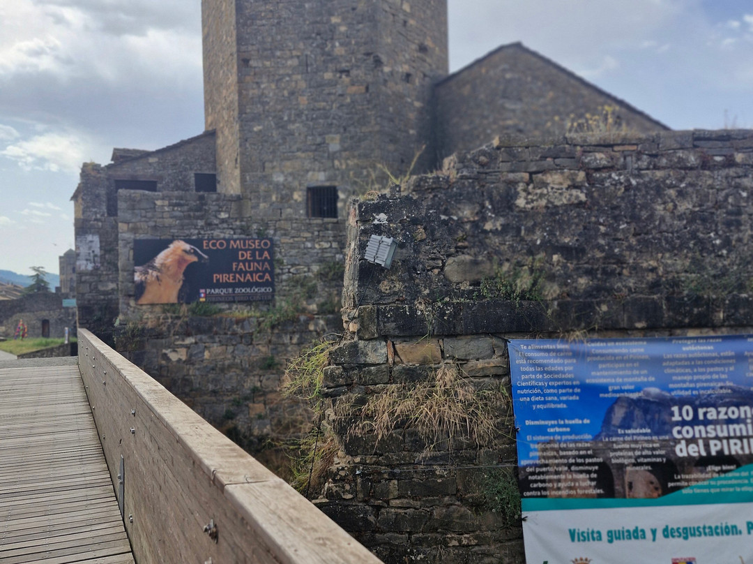 Plaza Mayor-艾因萨必去景点