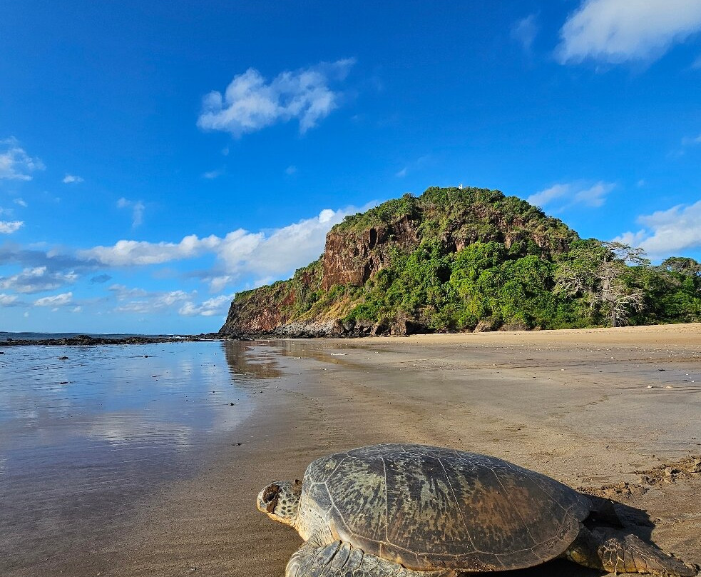 Akili Travel-Grande Comore必去景点