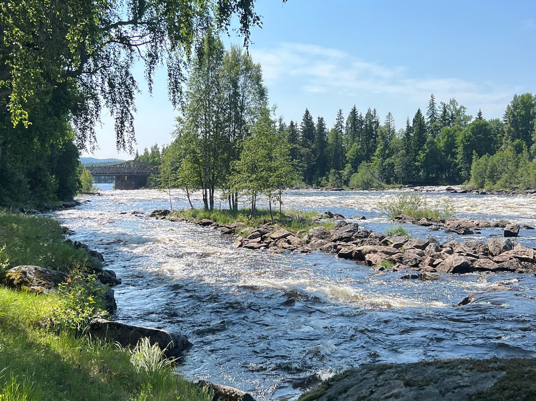 Upplev Järvsö-Jarvso必去景点