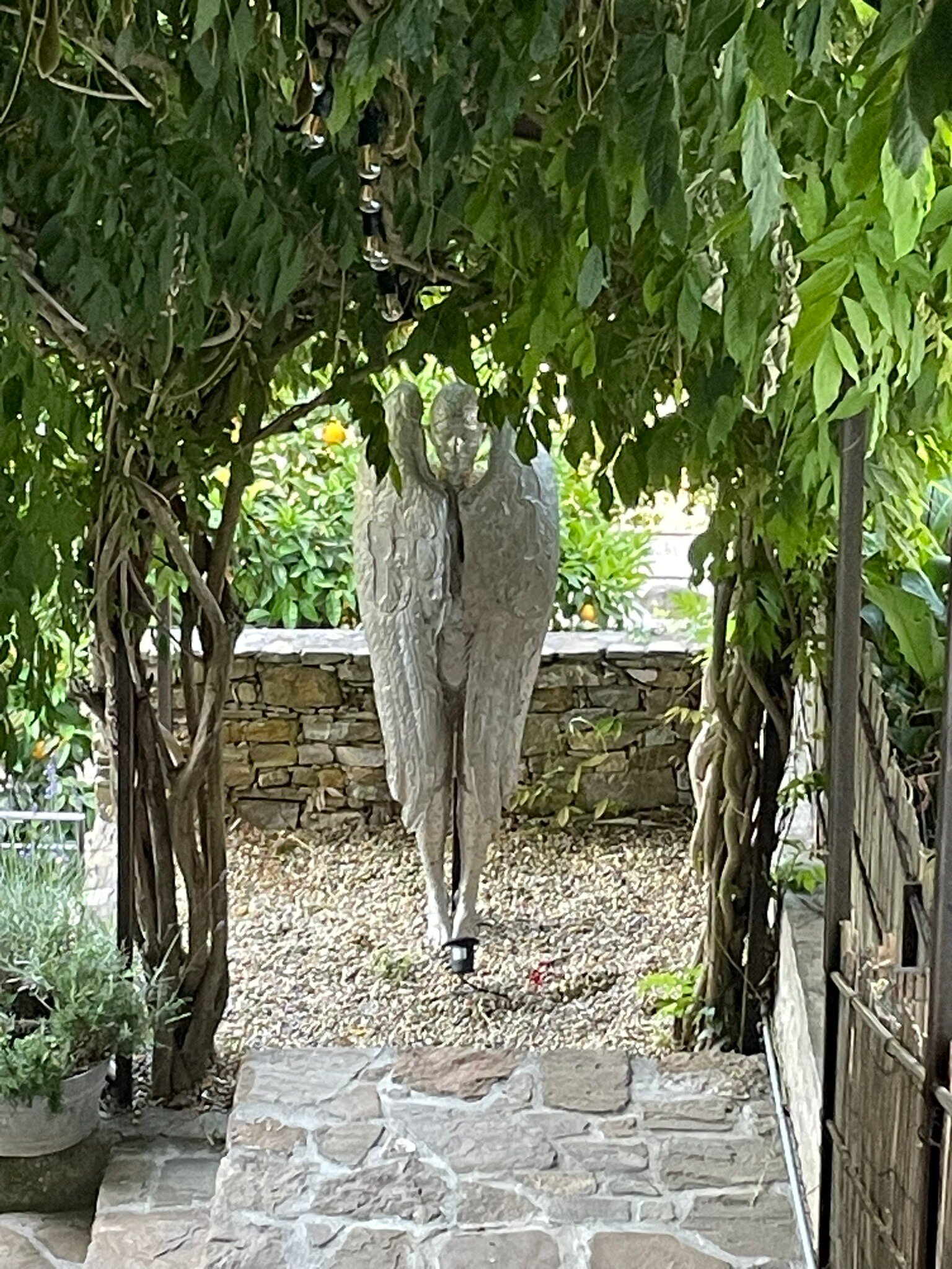 Apricus Locanda-官方