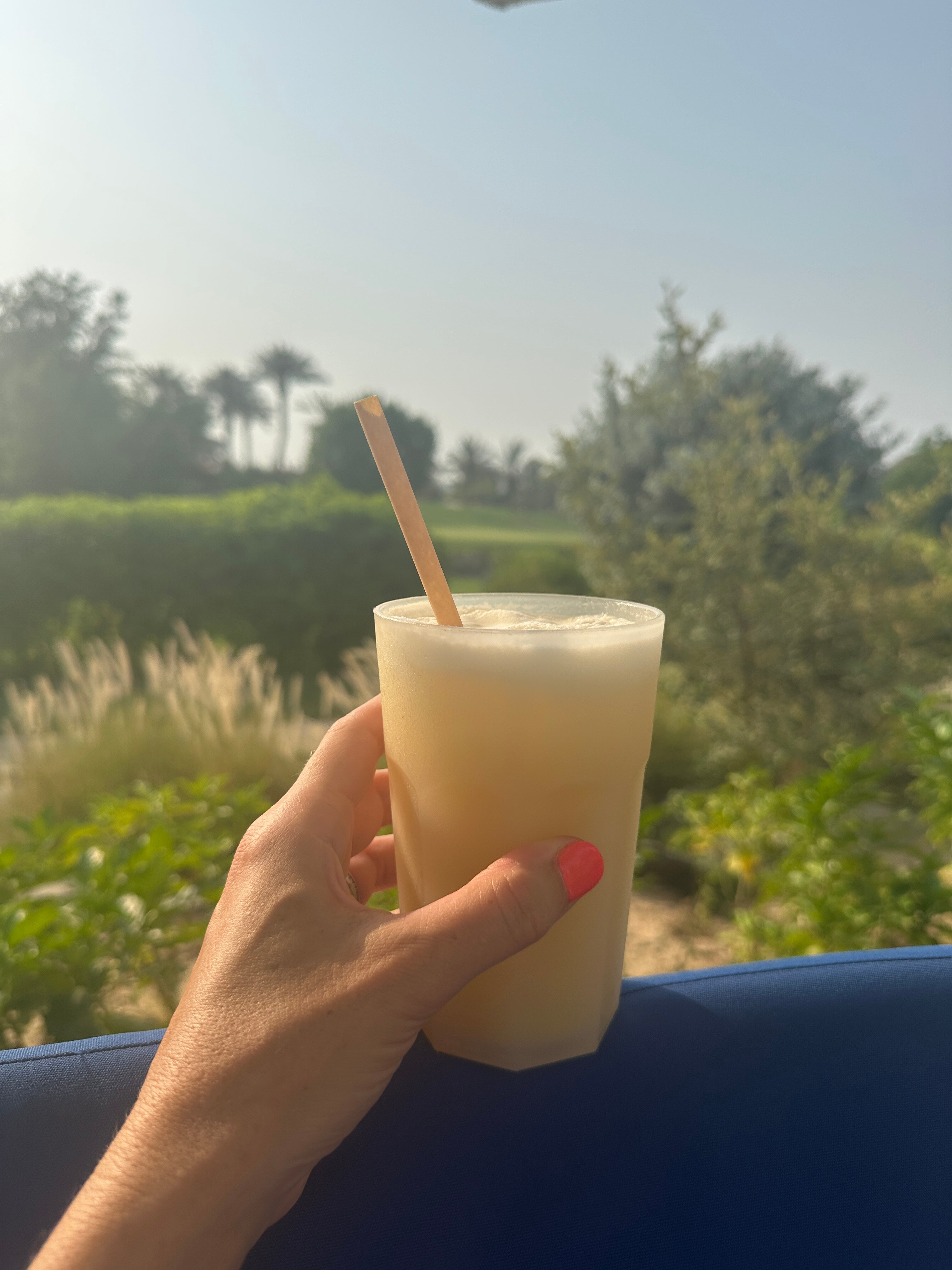 JA Lake View Hotel-泳池