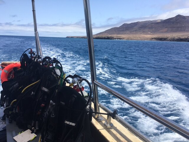 Fuerteventura Buceo Diving center-Morro del Jable必去景点