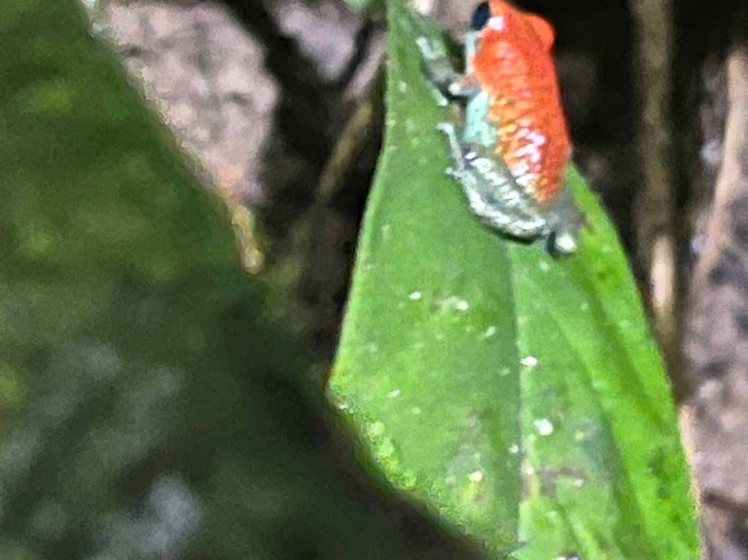 Casita y Tours Happy Feet主图