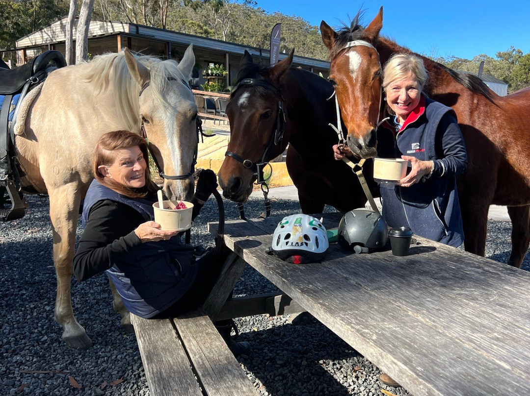 Saddles Garden Centre-Mount White必去景点