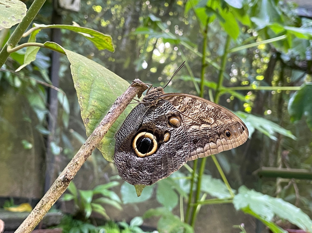 Sukia Park & Zip Line Tour