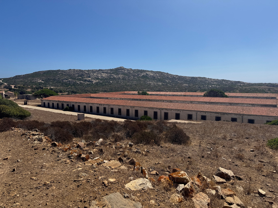 ScopriSardegna - Day Tour-Porto Torres必去景点