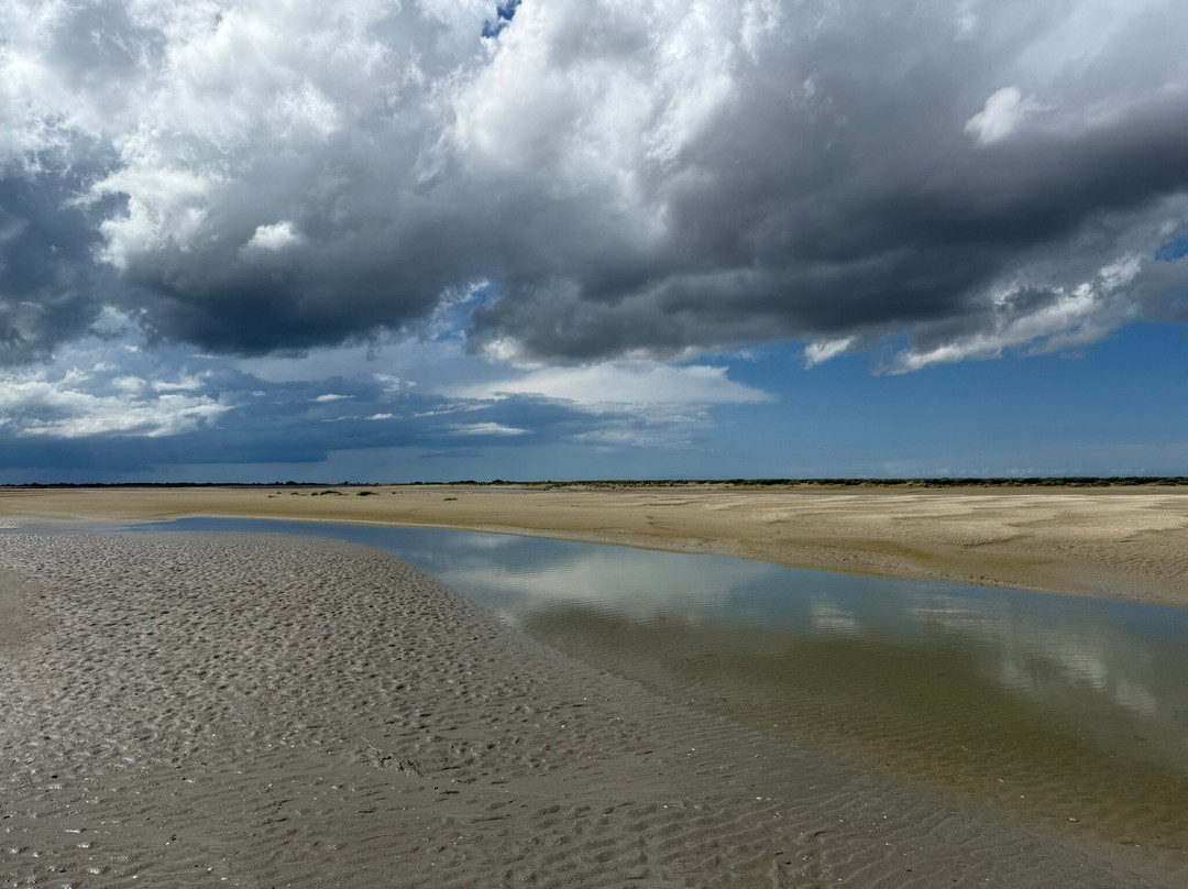 Decouvrons la Baie de Somme Day Tours-Le Crotoy必去景点