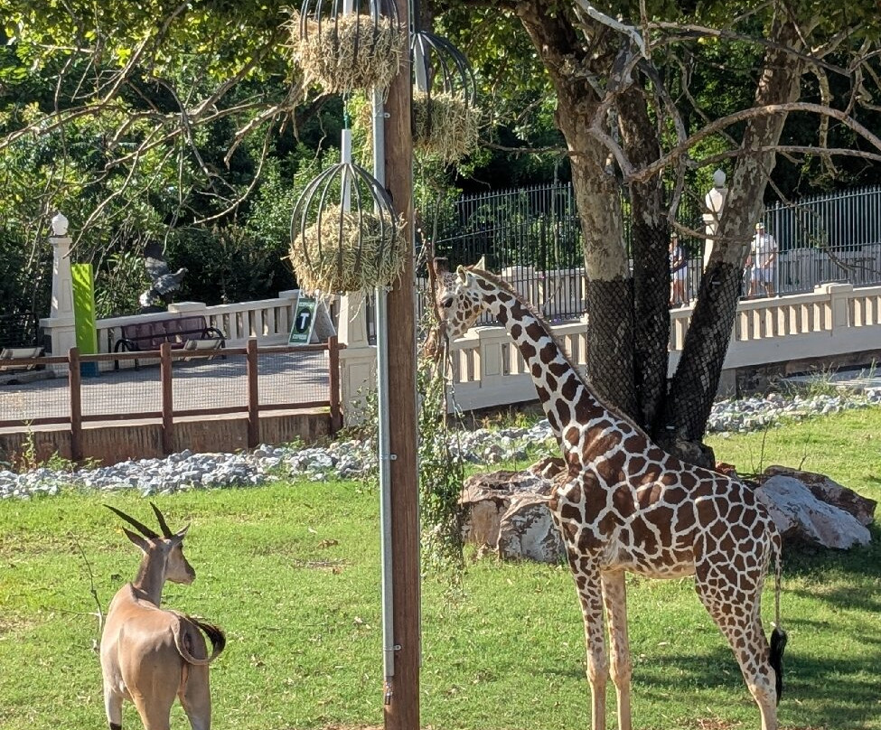 Oklahoma City Zoo and Botanical Garden-俄克拉何马城必去景点