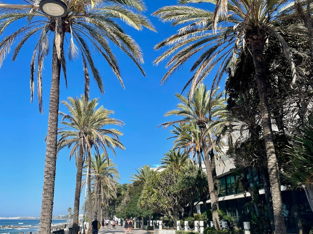 Playa de la Fontanilla-马贝拉必去景点