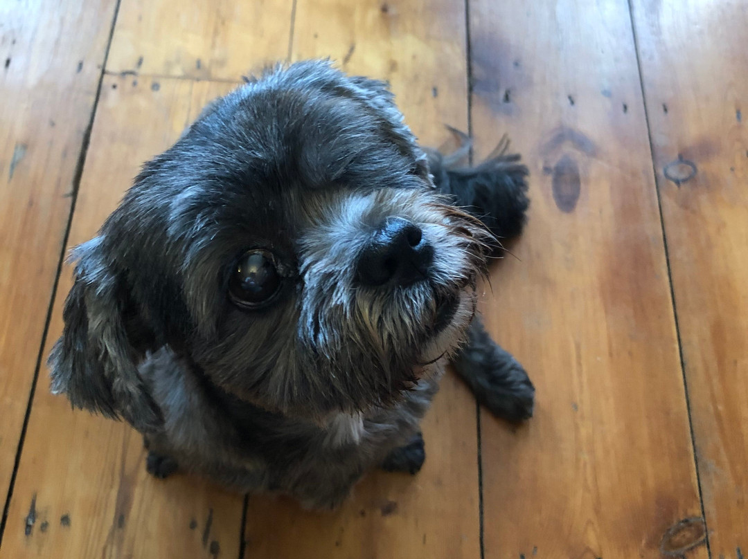 Burleigh House B And B主图