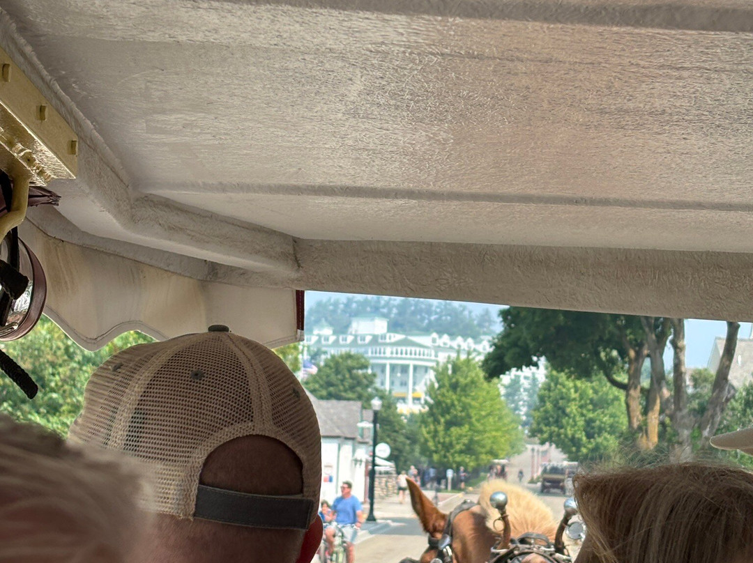 Wings of Mackinac Butterfly Conservatory-麦其诺岛必去景点