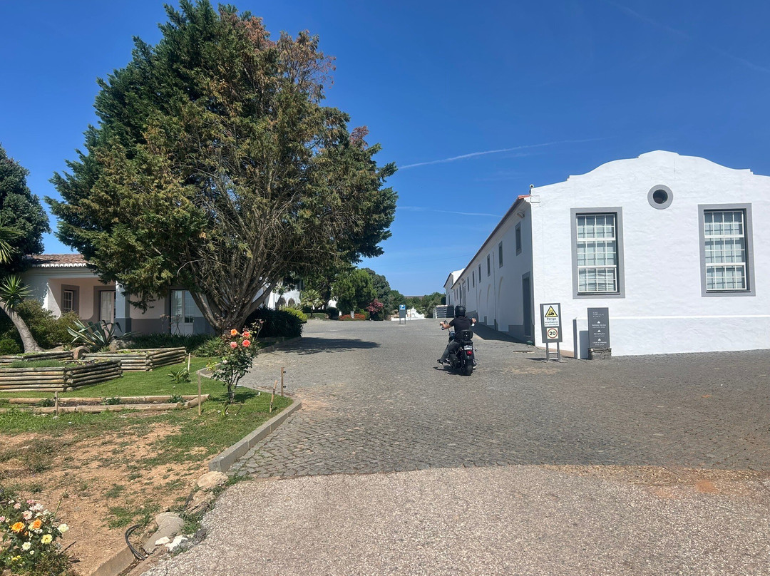 Joao Portugal Ramos Wines-Estremoz必去景点