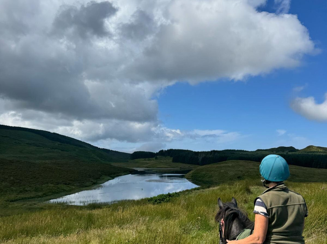 Wilder Ways-Campbeltown必去景点