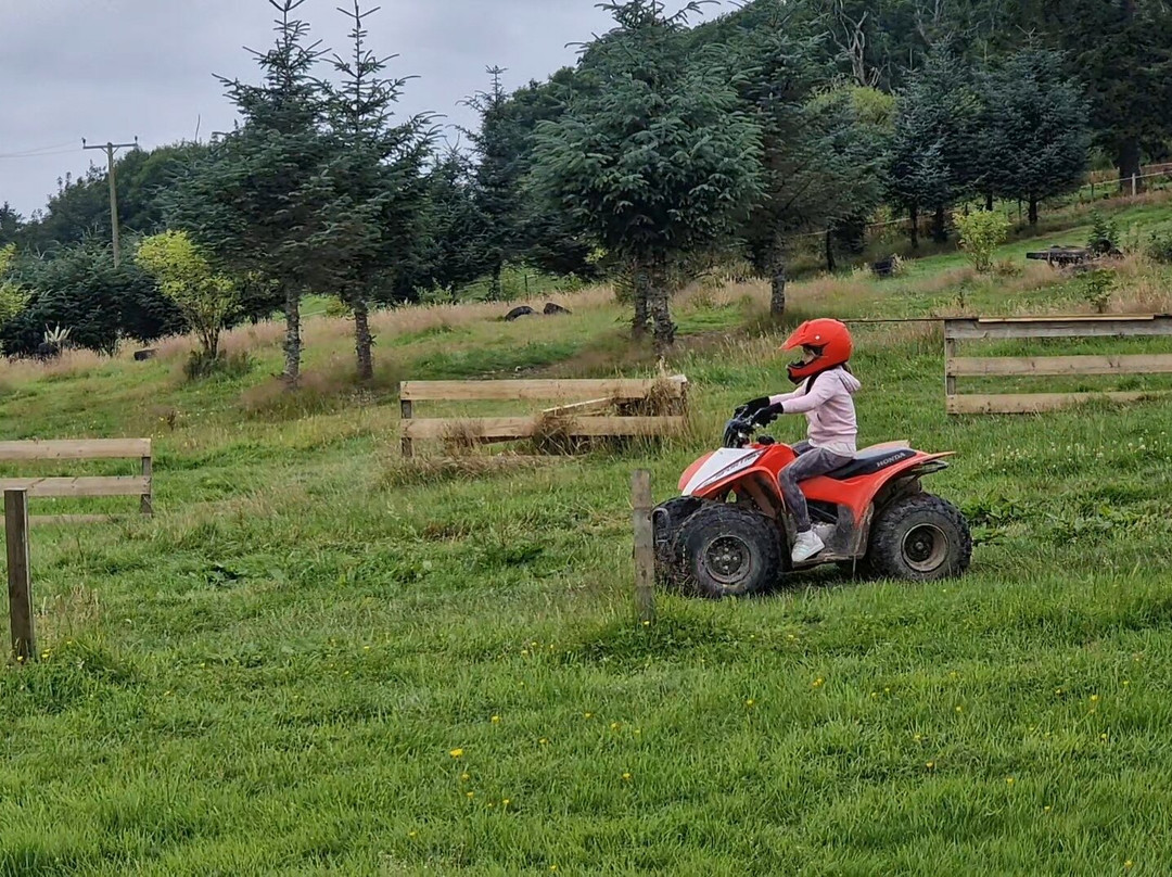 Action Adventure Activities-Gartmore必去景点