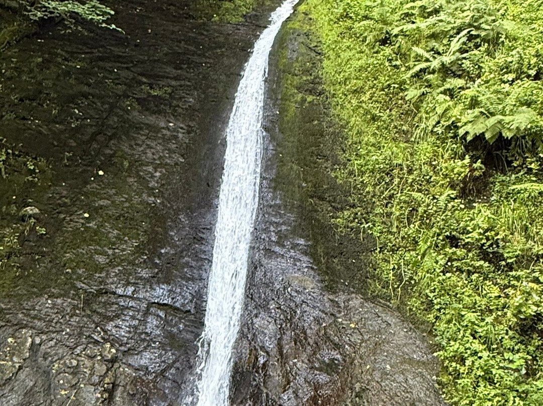 Moorcote Country Guest House, Moretonhampstead, Dartmoor主图