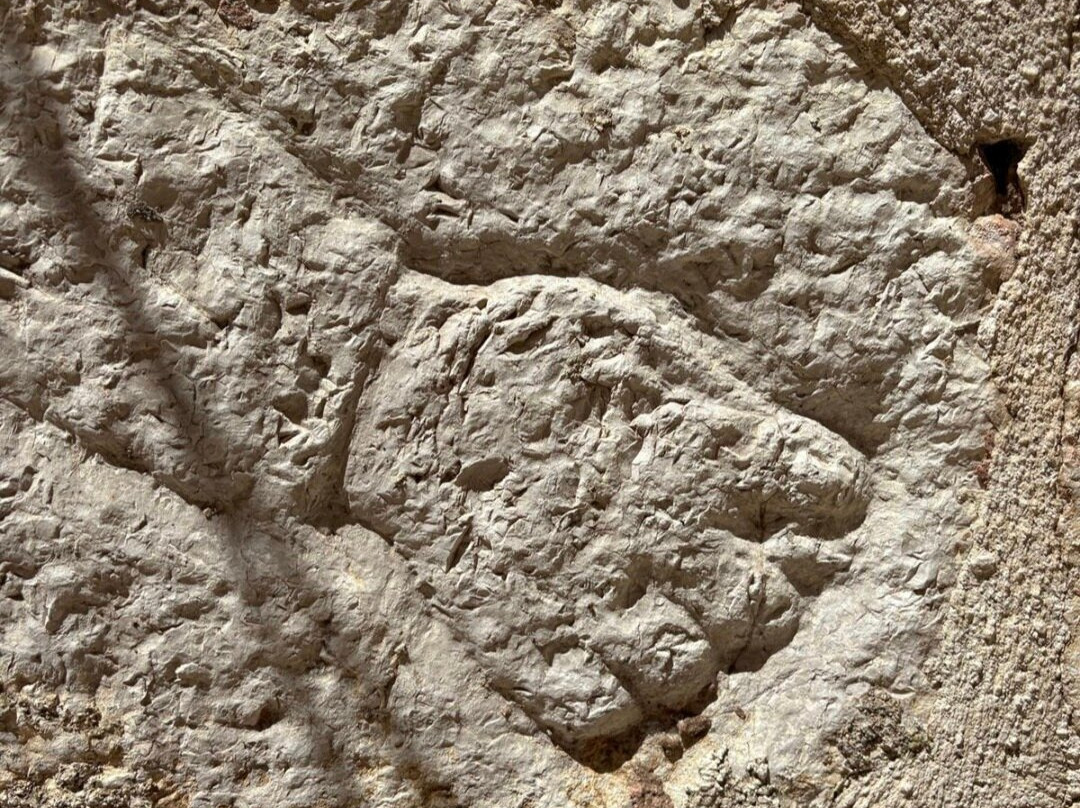 CityUnlock-帕格必去景点