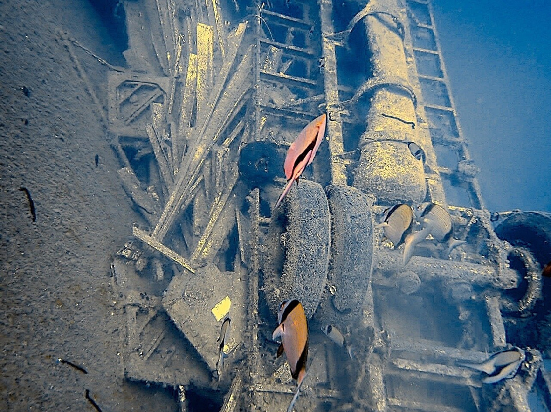 Just Scuba Diving Centre-阿依纳帕必去景点