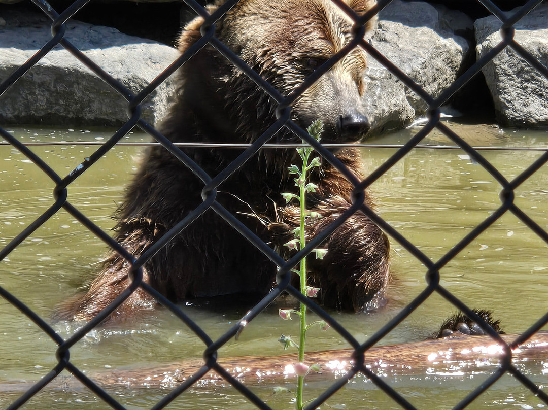 The Wild Animal Park-Chittenango必去景点