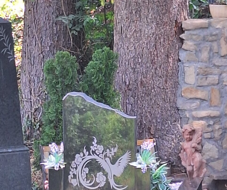 Cementerio aleman de Sighisoara-锡吉索拉必去景点