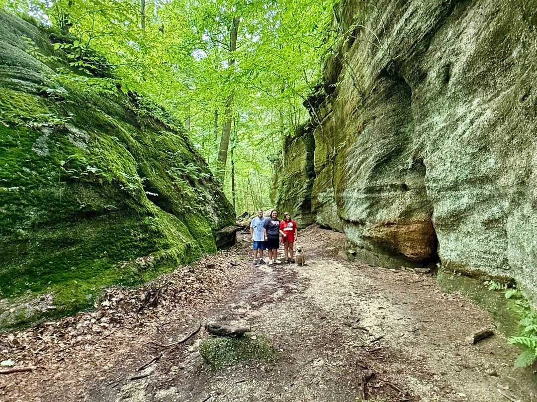 Nelson-Kennedy Ledges State Park-Nelson必去景点