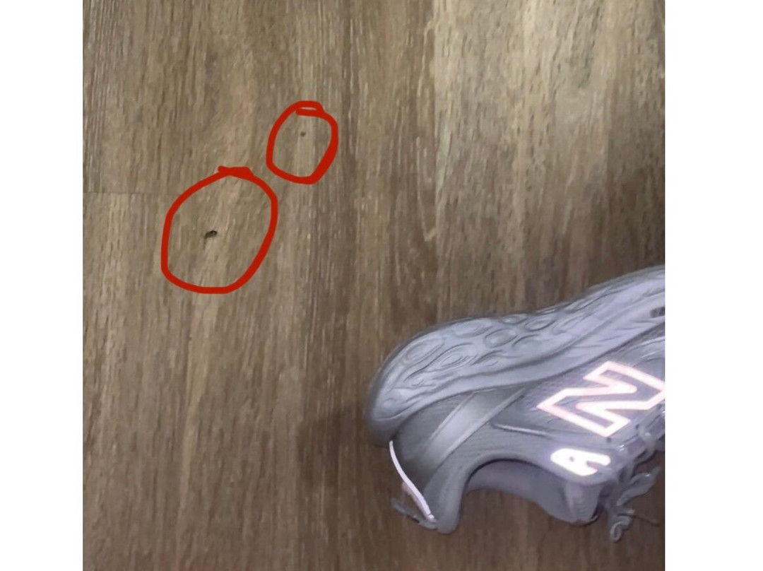 Red Roof Inn Tampa Brandon主图