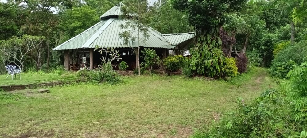 Elephant Valley Eco Farm Hotel主图