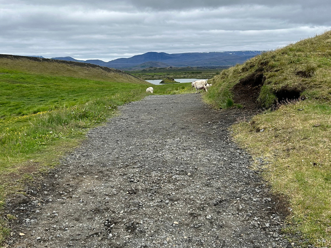 Skútustaðagígar-米湖必去景点