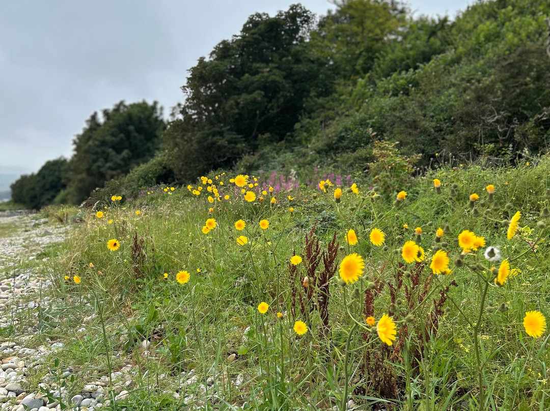 Kingscross Viking Fort-Whiting Bay必去景点