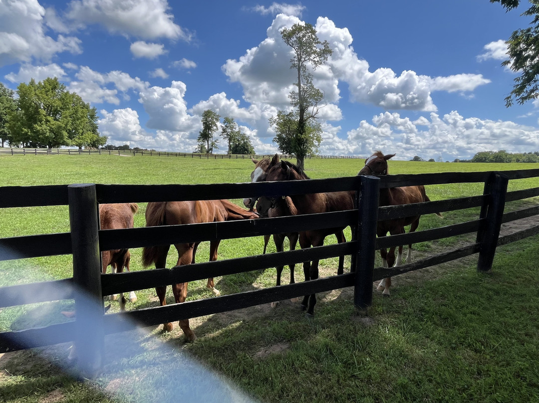 Godolphin-列克星敦必去景点