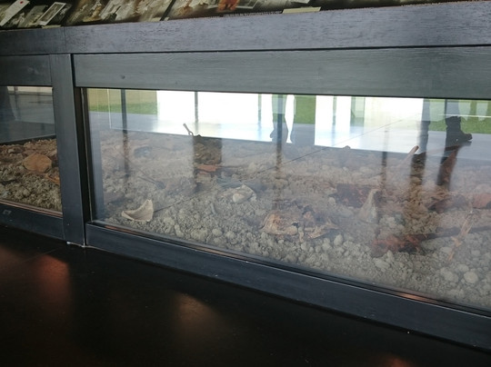 泰恩床公墓-Zonnebeke必去景点