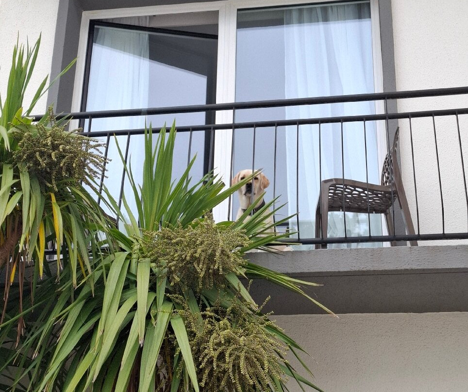 卡斯特尔酒店主图