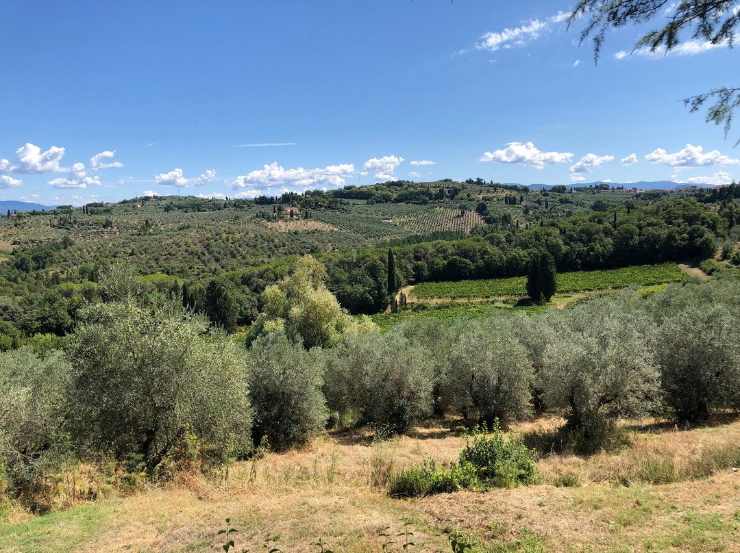 Fattoria di Bagnolo-因普鲁内塔必去景点