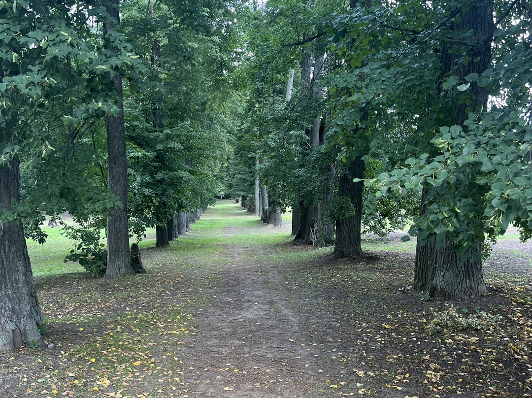 Priklonskiye-Rukavishnikovy Estate-Podvyazye必去景点