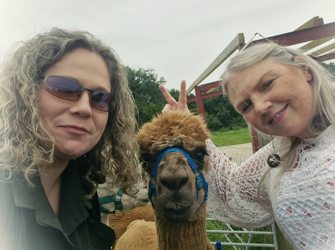 North Coast Alpacas-科尔雷恩必去景点